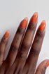 JARRITOS JELLY NAGELLAK